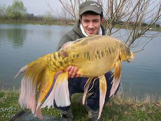 Carp Fishing